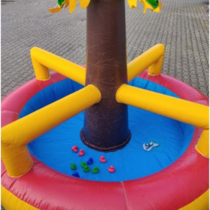 Eendjes vangen, opblaasbaar