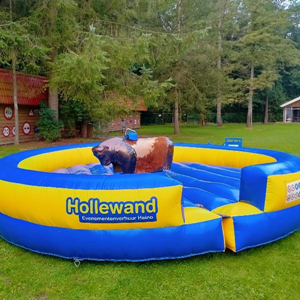 Rodeo Stier