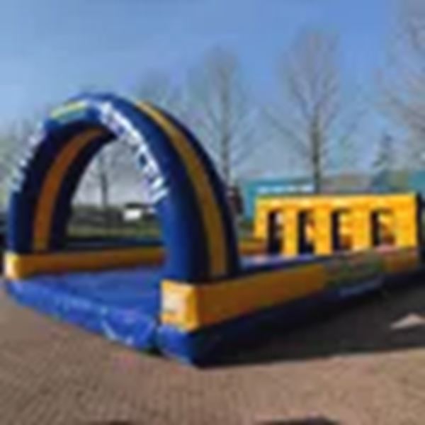 Levend sjoelen