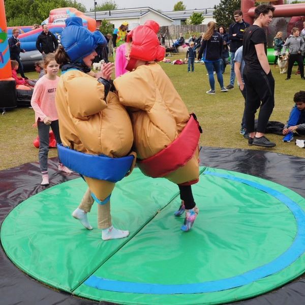 Sumo worstelen voor kinderen